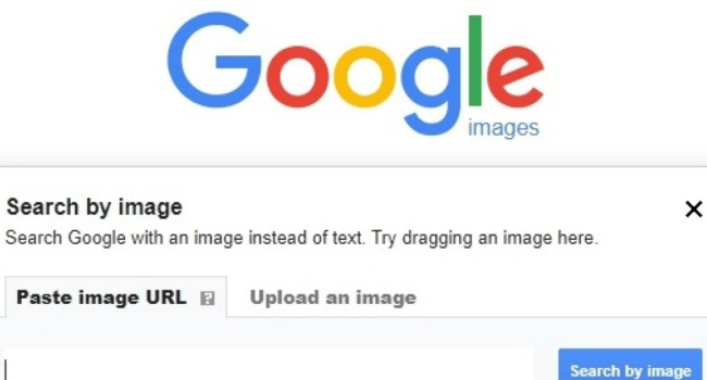 reverse image search reverse image search